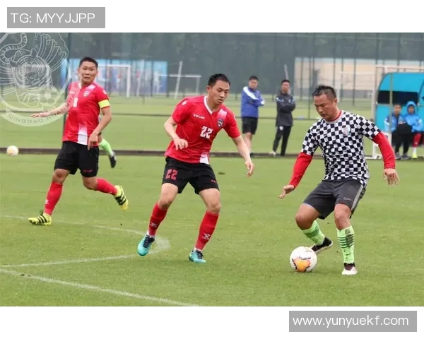 足球明星王皓的成长历程与职业生涯全景解析